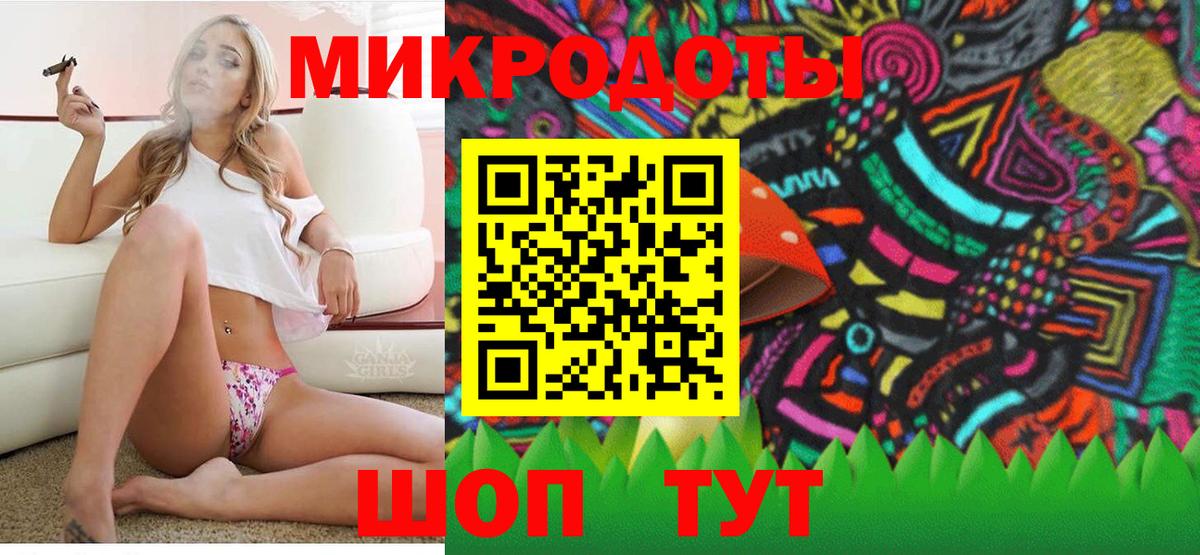 Псилоцибиновые грибы Psilocybe Ахтубинск
